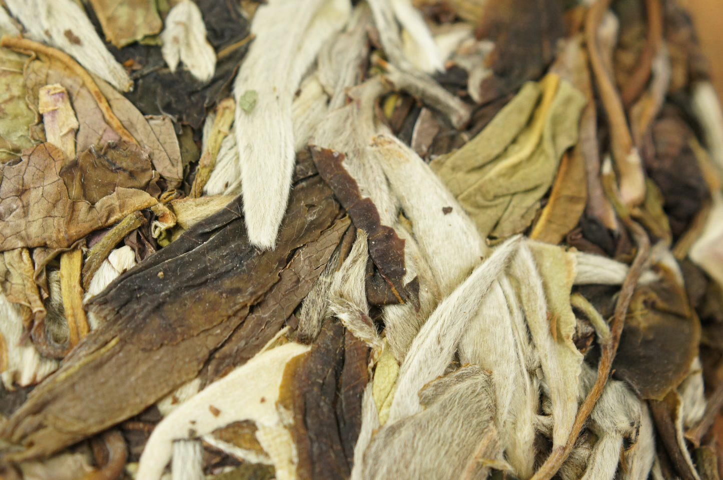 2023 Full Moon Fever (200g White Tea Cake)