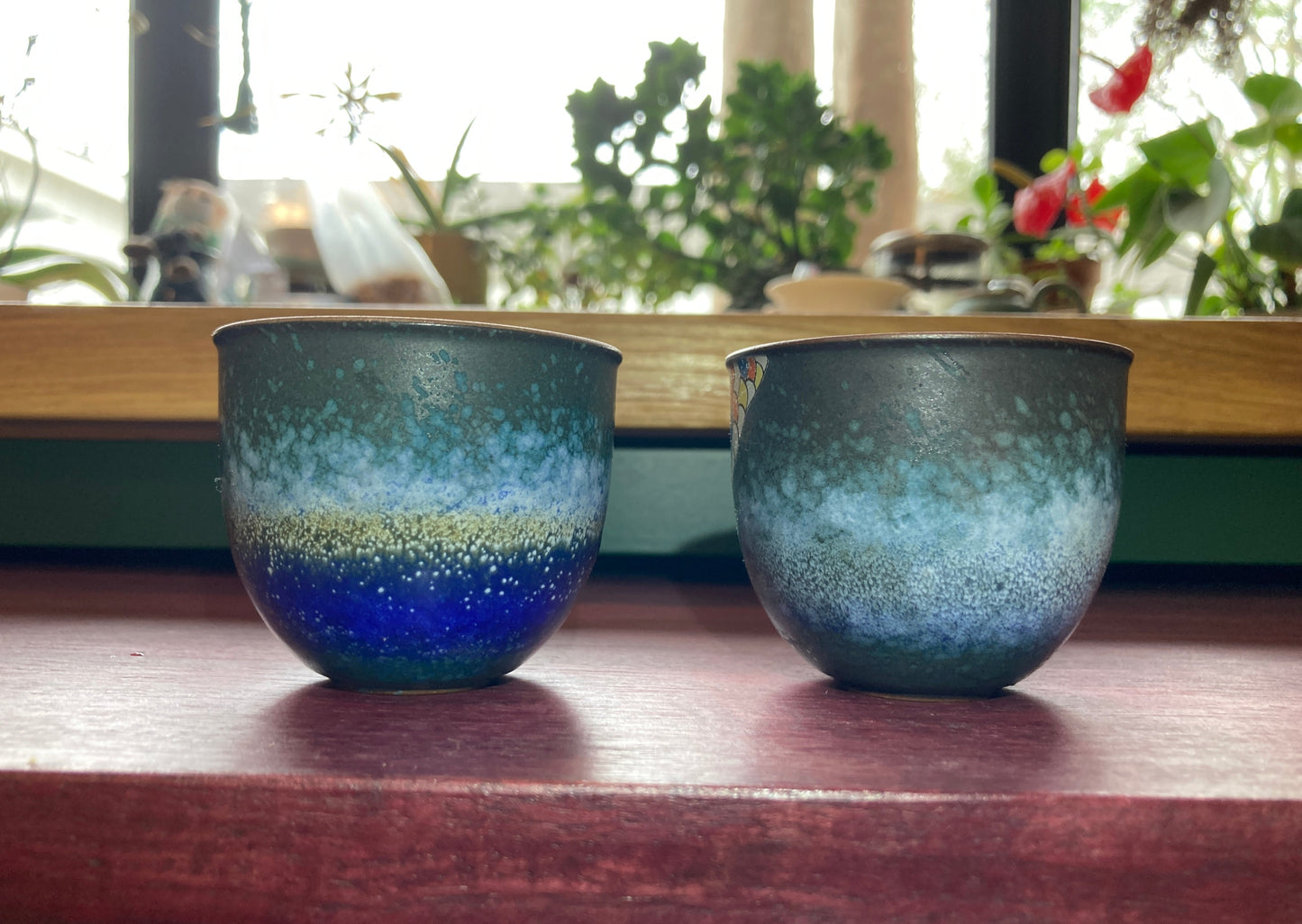 Fish Cups