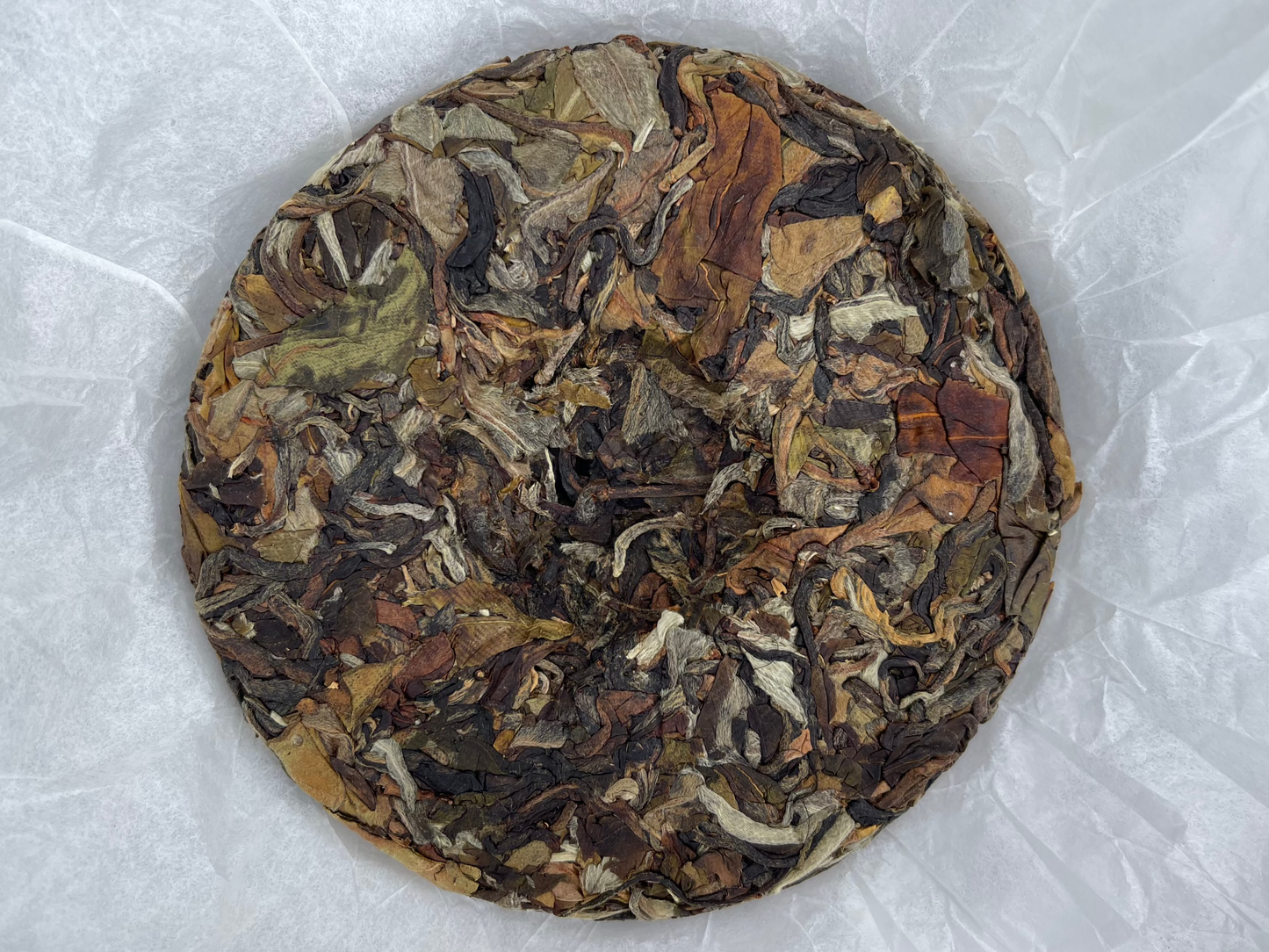 2025 Janus 100g Black/White blend