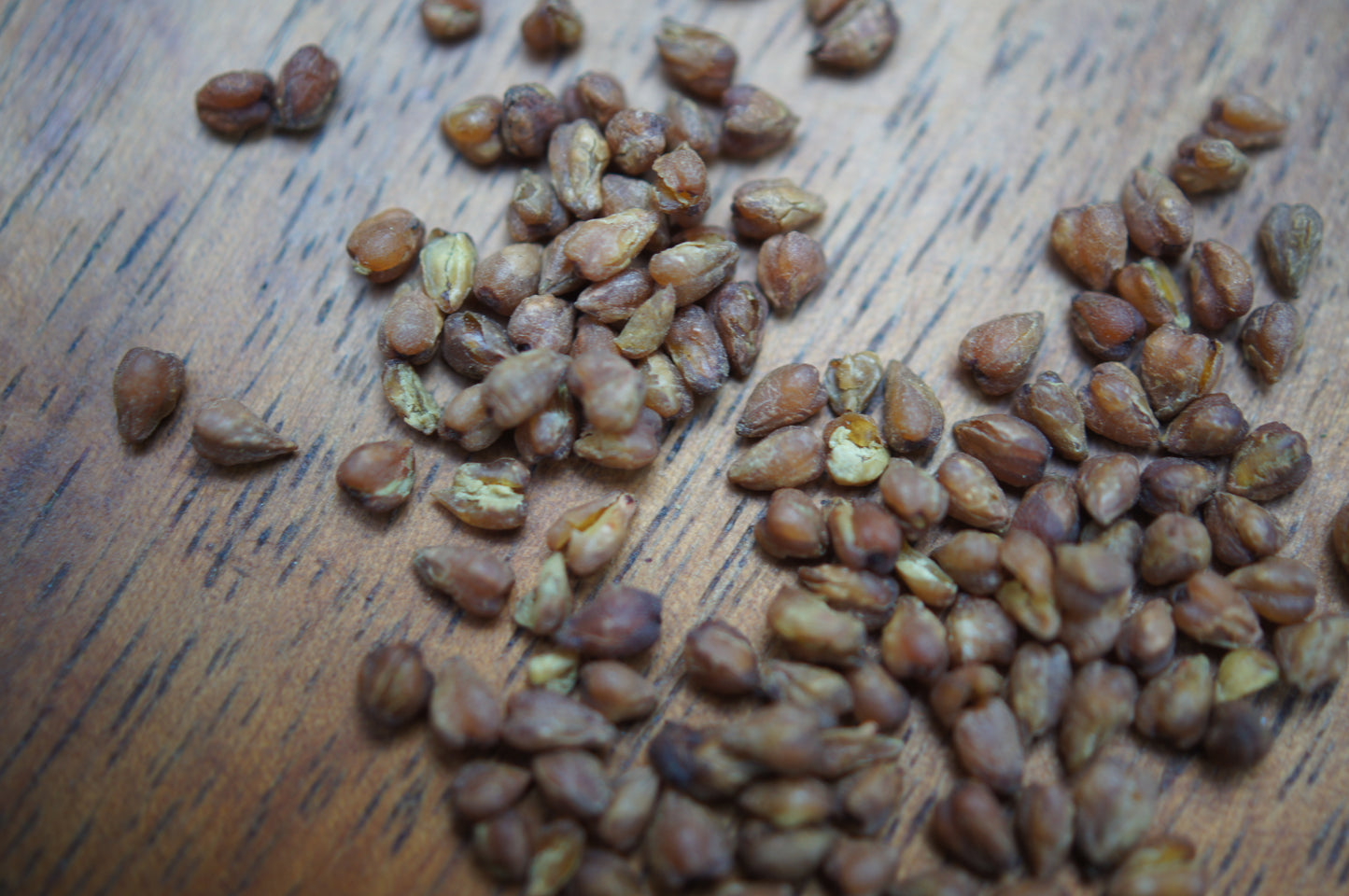 Buck (Wheat) Rogers Black Tartary Roasted Buckwheat Tea(500g)
