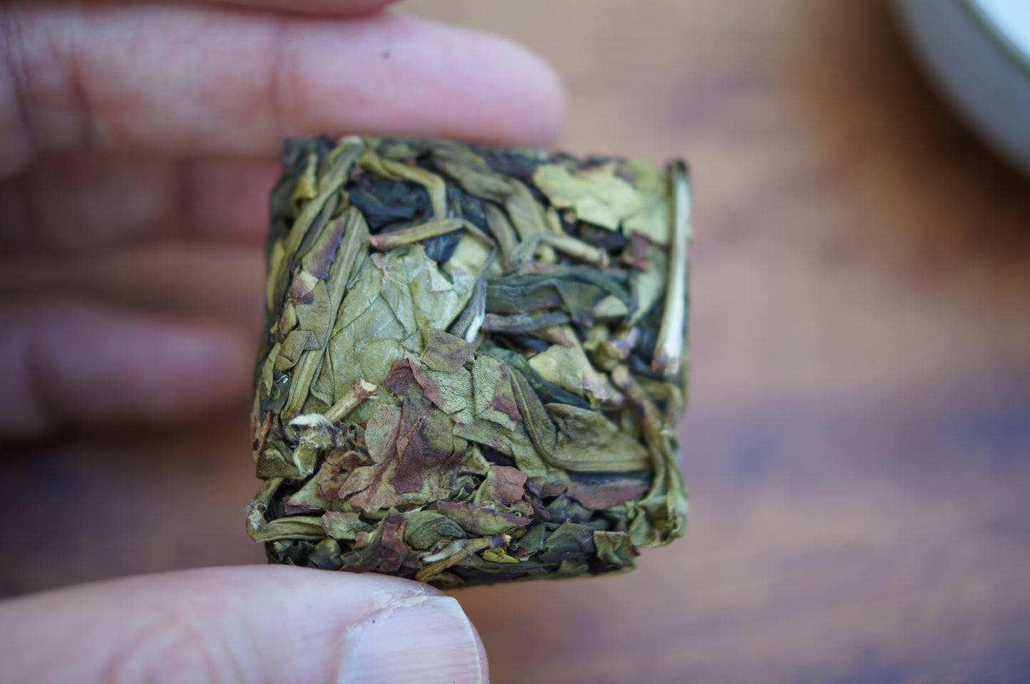 B.O.B. And B.O.B. Esquire (Borg Oolong Biscuit)