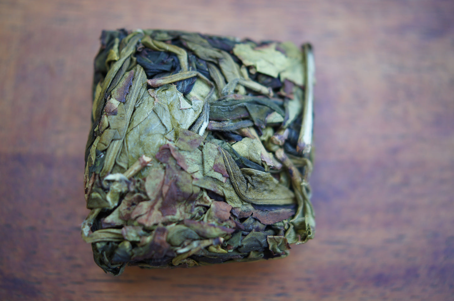 B.O.B. And B.O.B. Esquire (Borg Oolong Biscuit)
