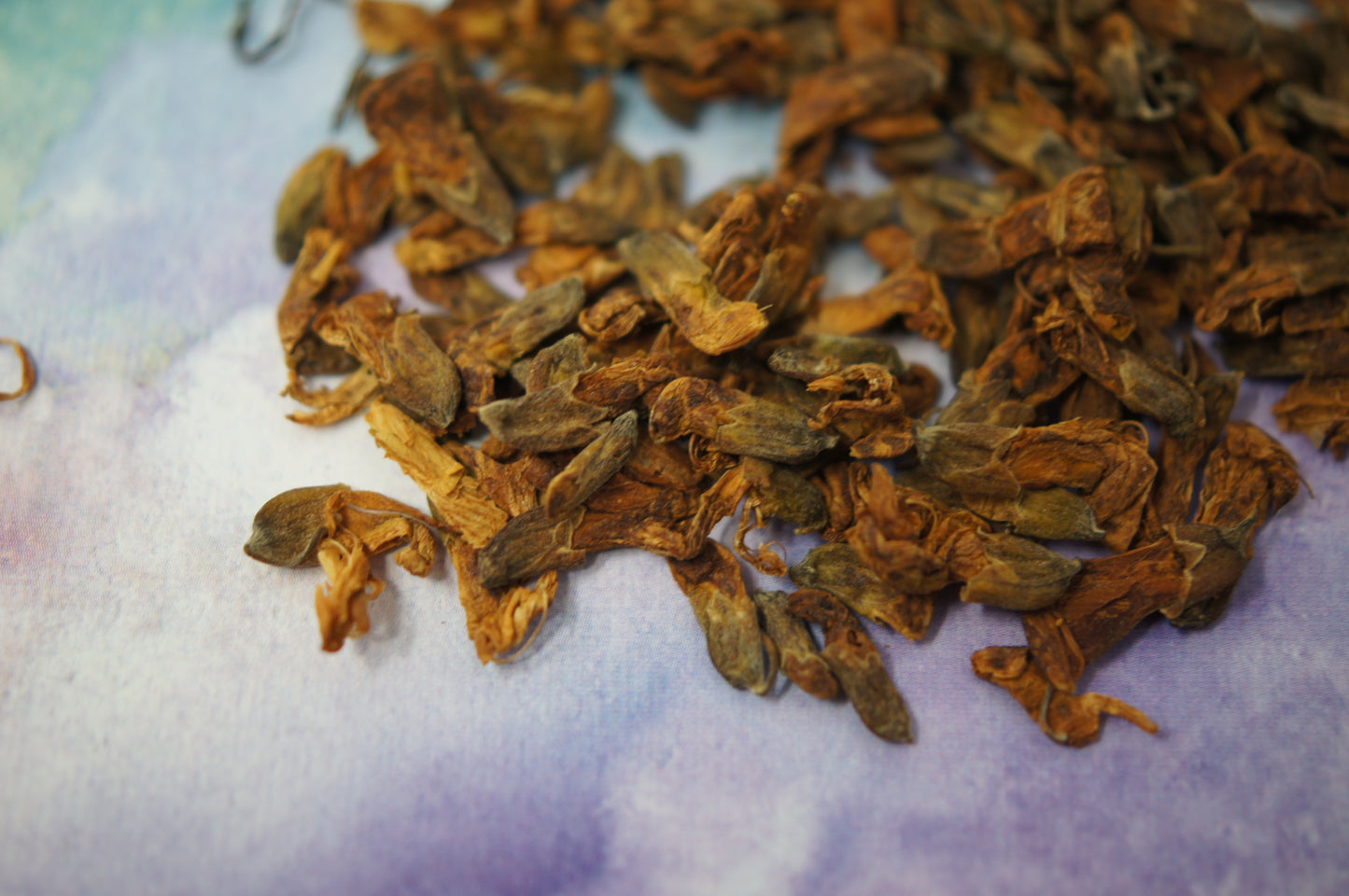Sophora Flower Tea