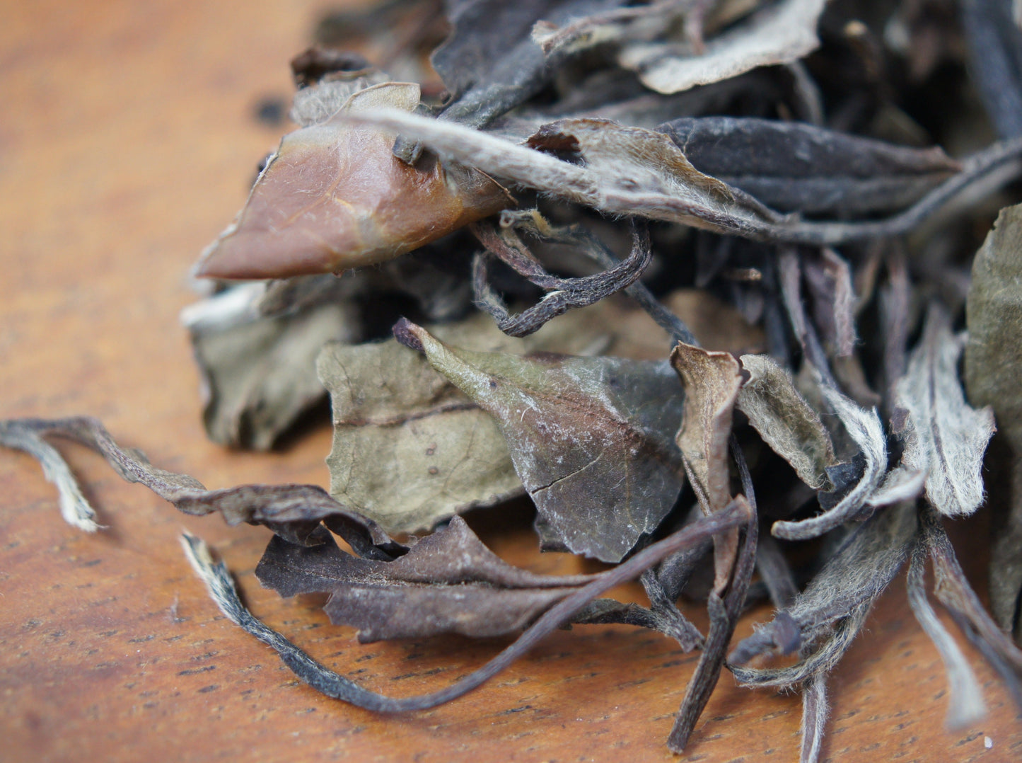 2002 Aged Bai Mu Dan: A Space Odyssey