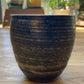 Silver Stripe Cup