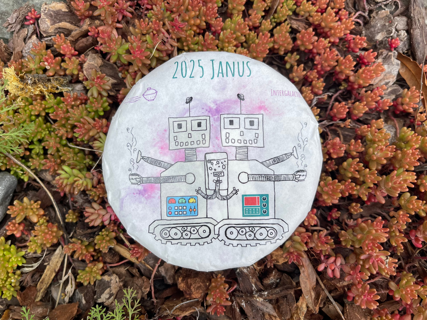 2025 Janus 100g Black/White blend