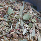 Lunar Lime Ginger Rooibis
