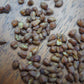 Buck (Wheat) Rogers Black Tartary Roasted Buckwheat Tea(100g)