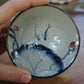 Hand Painted Koi