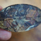 Silver Leaf White
