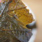 Go Stone Tea