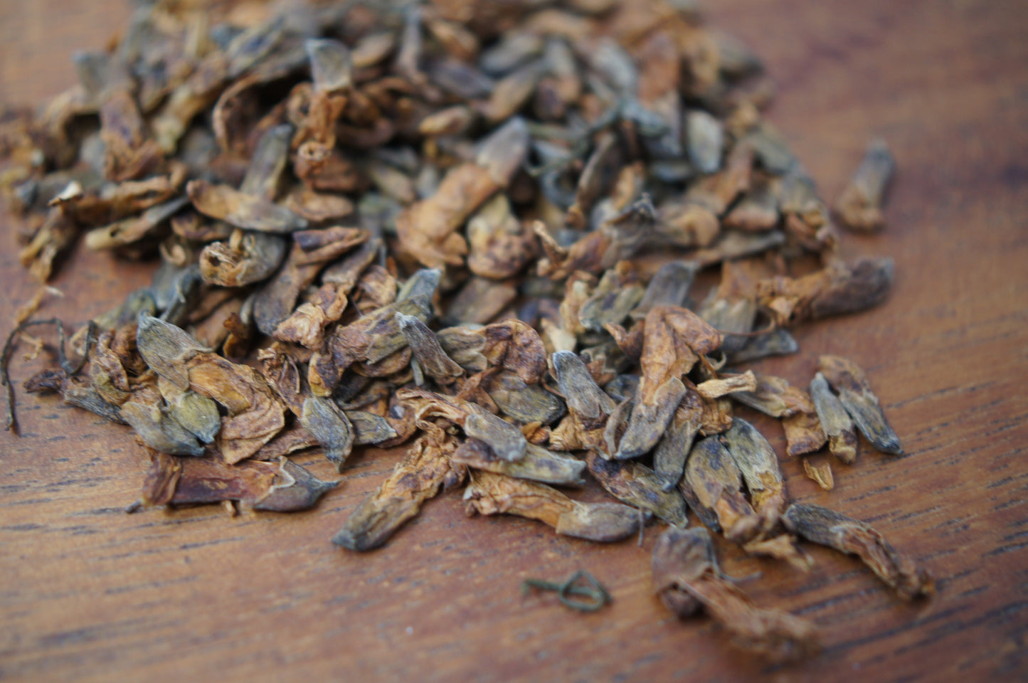 Sophora Flower Tea