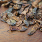 Sophora Flower Tea