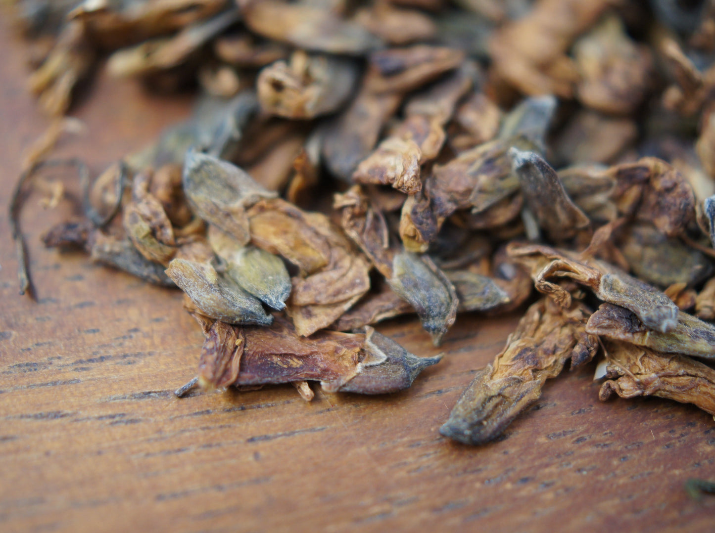 Sophora Flower Tea