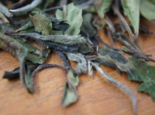Bai Mu Dan